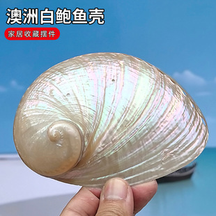 ��Ȼ���ݰ��ް��U�~�����յ����~���쾰�b����l