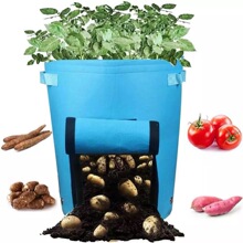 �ڰ�Ĥ�Nֲ���o����ֲ����Ӻ���������u�����̨����I�B��