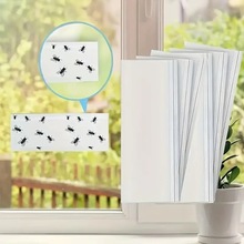 ͸ճxճʽ͏dӜßωòωճ