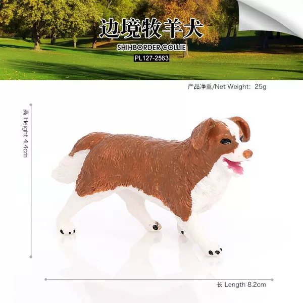 PL127-2563 Border Shepherd