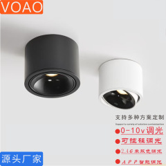 0-10v可控硅2.4g涂鸦已接入米家app天猫智能调光调色温明装筒射灯
