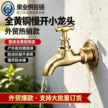 全黄铜慢开水龙头家用外接户外4分老式清光电镀防冰冻6分快开水咀