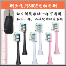 电动牙刷头适配于SUGE苏格成人家用清洁替换声波软毛牙刷头