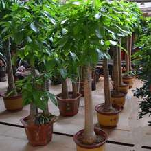 pӰlؔԴêUlؔkȩ՚Gֲ͏d҃