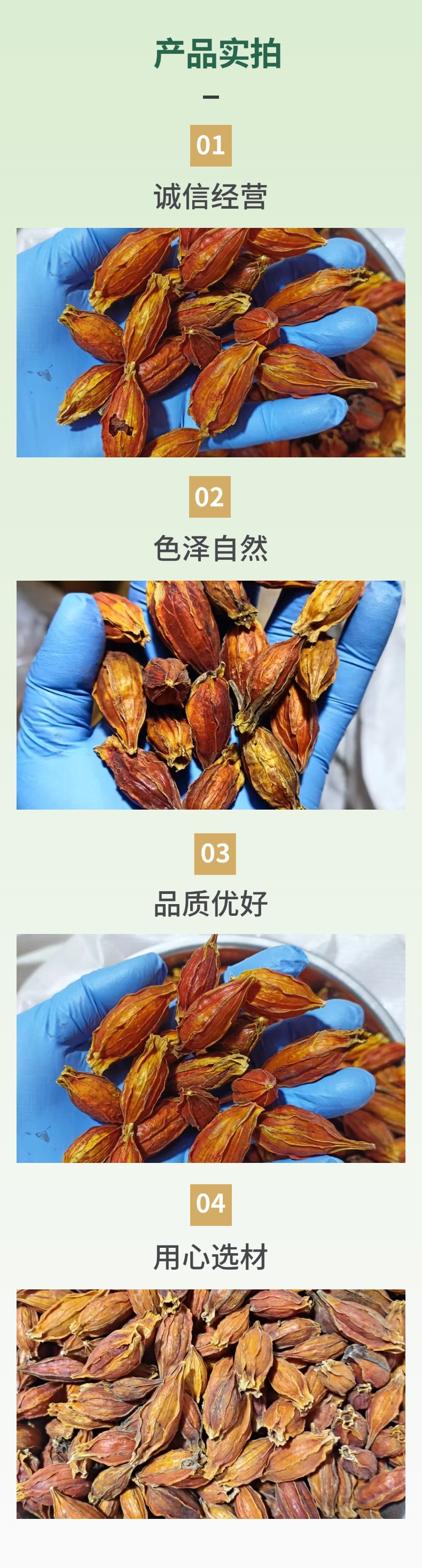 Dried Gardenia Fruit Zhi Zi 500g Red Gardenia Jasminoides for Herbal Tea and Decoction specifications