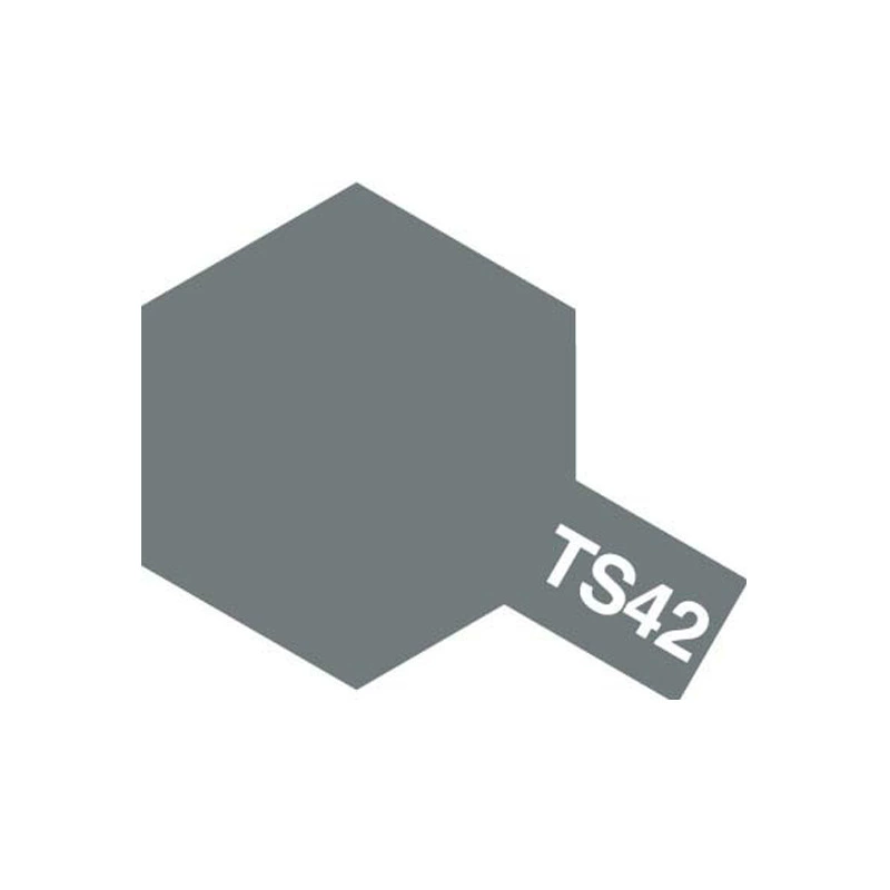 TAMIYA model special TS spray can/hand spray paint (100ml) TS1~TS56