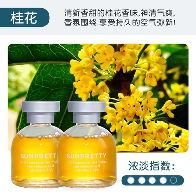 Deodorizing Tool — Car Perfume Aromatherapy - osmanthus-2-bottles