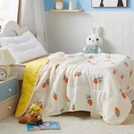 双人夏凉被宿舍学生空调被可机洗夏季薄款被子儿童被子礼品被批发