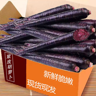 ���r�Ϻ��}��1/3/5�ﻨ�����߲�ɳ�ش���ں��}���r���ԷN