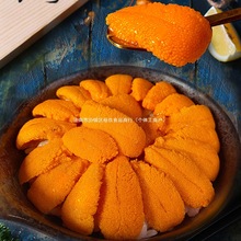 ����u���B���r�R�S��đ��đ�r�����ϬF����đ��ˮ�д������r100g