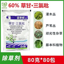 �P��D�{�O��60%�ݸ�&middot;�������Ǹ��ػĵع�ľ�s���rș���݄�80��