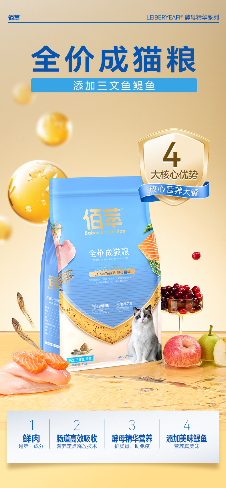 鯷鱼_03