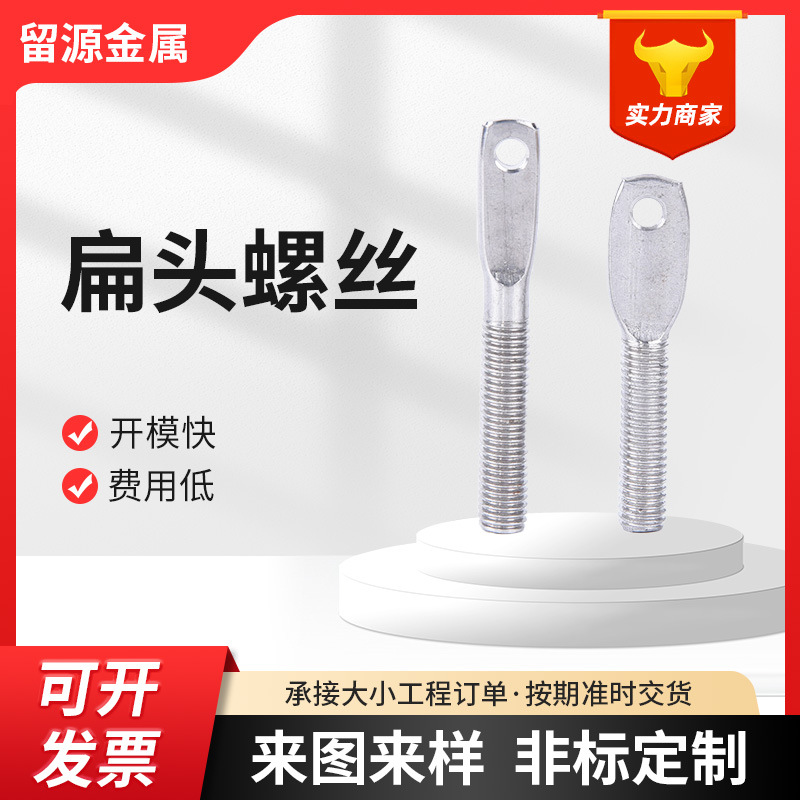 304 316 Stainless steel strip Screw Non-standard bolt Union fisheye Screw