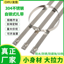 ���P������վo��������������������������������|�����S�����l