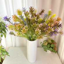 �L֦���}�ݷ���ݕ����͏d��c�廨��ľGֲ���ϲݷ��沤�}�ݼٻ�