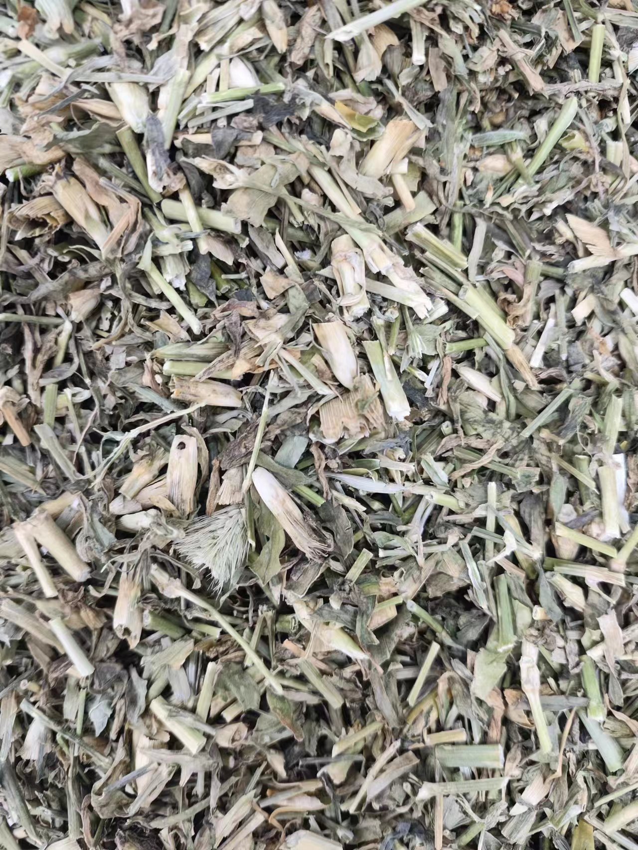 Qu Mai (Dianthus superbus) — Dried Chinese Herbal Flower for Tea & Decoction quality and texture