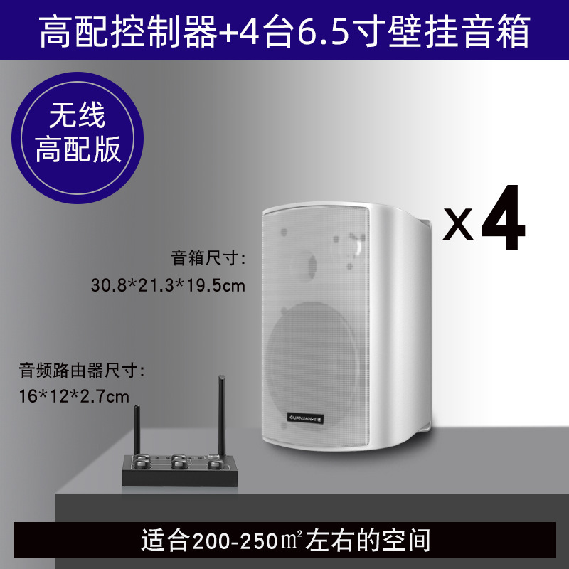 壁挂无线音响店铺舞蹈教室餐厅健身房会议室商用音箱组合套装|undefined