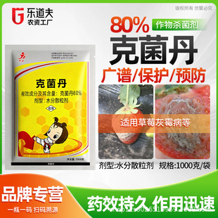 80%�˾���������٘�֬̿��ɳƤú�ۻ�ù�O���c���~���rș������