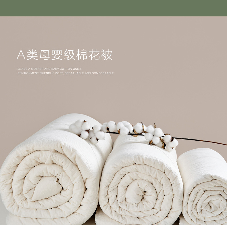 Simple Original Ecological Cotton Quilt Class APure Cotton Jacquard Quilt Warm And Thickened For All Seasons Winter Quilt Spring And Autumn Quilt Summer Cool Quilt