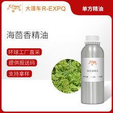 �����㾫�� Sea Fennel ϣ�Dֱ�Ɇη�����ԭ�����l��������܇����