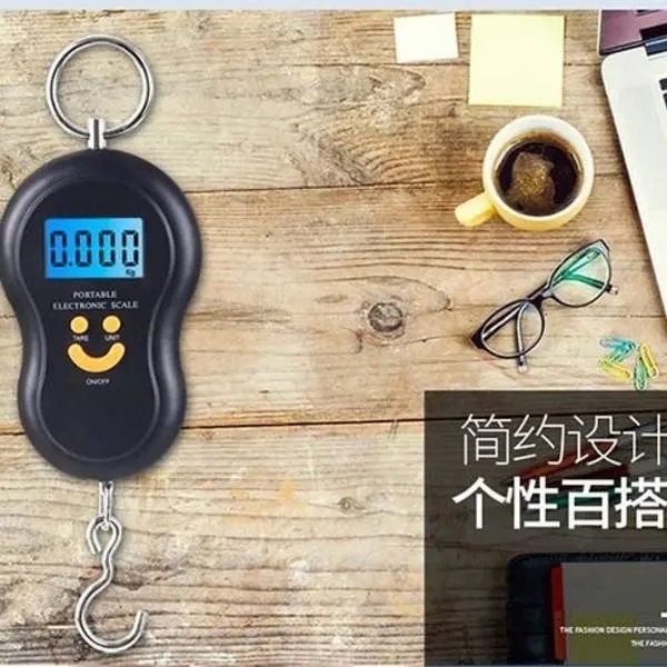 Portable Electronic Scale with Hook Spring Scale High Precision 50kg Mini Fair Gram Scale