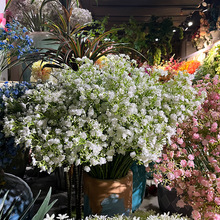 �M���Ƿ��滨�����c�b�֧�������������ҾӔzӰ�[���bٻ�