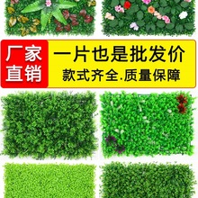 Gֲֲƺ͏d̨GɫbٲƤ