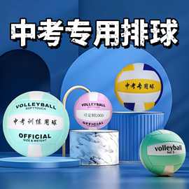 可印字5号排球中考专用高颜值中学生体育训练排球4号儿童软式硬排