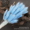 [天蓝【60支左右】]