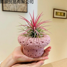 �՚��P���k��������Gֲ�҃�С����ֲ����B�ļ�������w��������