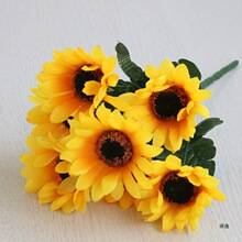 ����С�r���赸�ٻ��b�С�����ϻ���c���۲廨��������