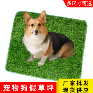 ���挙���ƺ������������|��Ƥ�����ƺ؈���С����|�ٲ�Ƥ