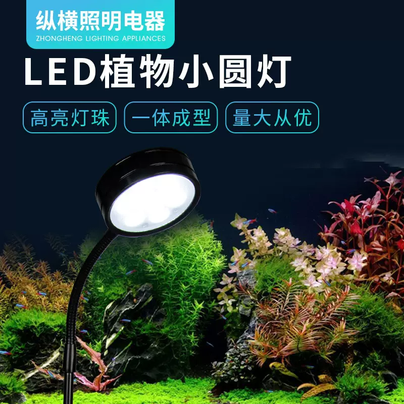 纵横led植物灯微景观灯鱼缸小圆灯水陆景观照明水族补光水草灯