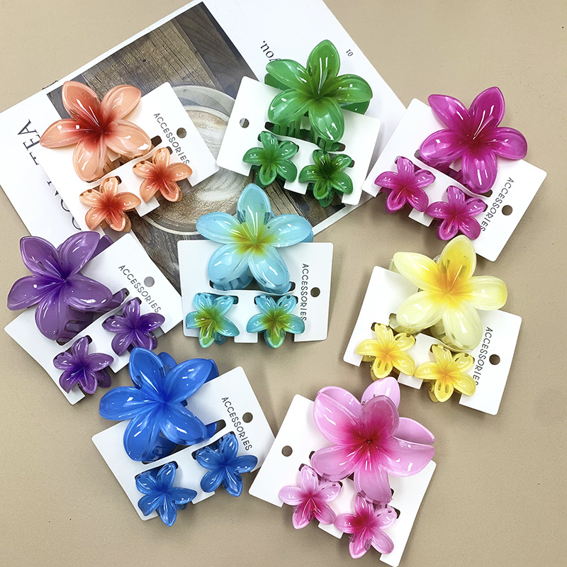 96g Weight Hair Claws Hair Accessories Type 1 Set Quantity Daily Occasion Plastic, Resin Material Plumeria Pattern All Seasons Season Women's Gender Stoving Varnish Design Cute Style Cute Women's Plumeria Plastic Resin Stoving Varnish Hair Claws 3