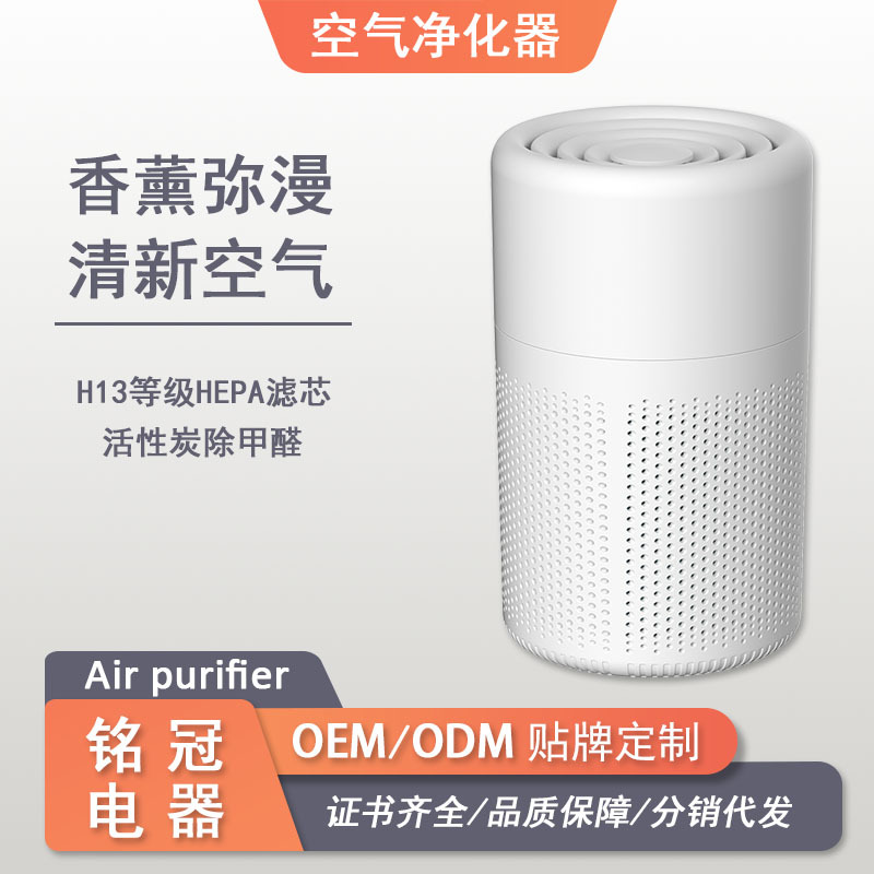 跨境空气净化器USB除臭味家用除甲醛室内香薰负离子净化装置外贸