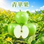 青苹果陕西新鲜青皮水果
