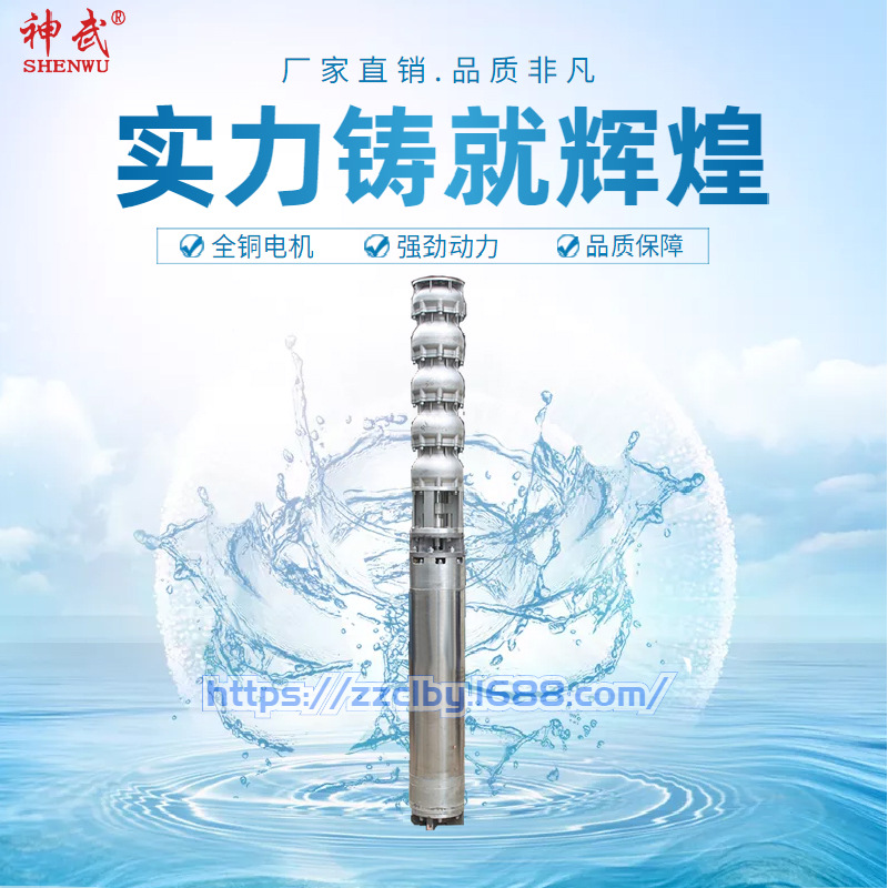 2205 bomba de agua de mar de acero bifásico resistente a la corrosión bomba especial de agua de mar de alta elevación bomba de elevación de agua de mar de gran caudal