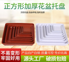 �������ϻ����бP���l�����λ���׉|�Ӻ񻨻����Խ�ˮ�P��̖����