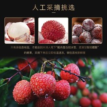 ii顺丰速运闽臻新鲜冰荔枝大果当季应季水果荔枝冰鲜冷冻现摘冻荔