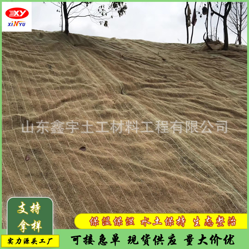 植物纤维毯  植生护坡毯 抗冲型生态草毯 pp网 生态草毯
