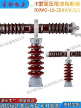 �߉������۔���RW10-35KV/0.-T�͑���RXWO늉����������o40.5KV