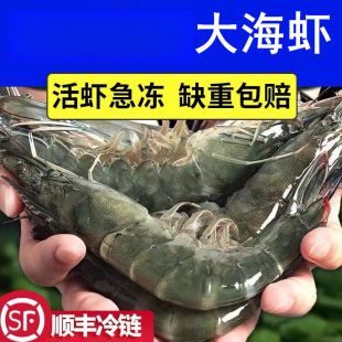 ���r���r����2030�r���������r�}�����r���u�����r��϶ࠖ�r���l