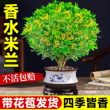 ��ˮ���m�����Ԏ������������Ϙ��ļ��_���҃����F���ܾGֲС����