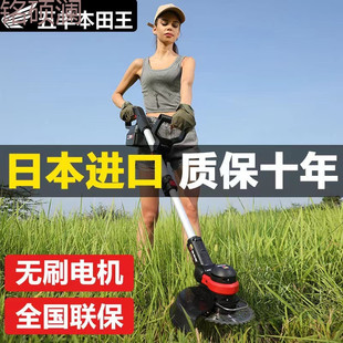Xdd Imported Electric Lawn Mower Rechargeable Lithium Battery Multi-Functional Agricultural Small Household Orchard High-Power Removal