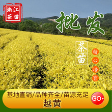 Խ�S1̖���������S���~��o�Է�ֳǤ����Ʒ�N�����S������