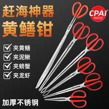 �Ӻ��P��S�X�A���X�~�A���q�з�Q�ӷ���ץ׽���r�����s������