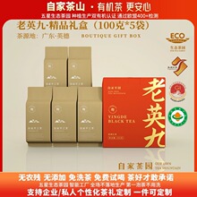 �����˶��ںȵ�Ӣ�¼t��Ӣ�t��̖���~�����ЙC���ЙC����