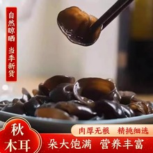 东北秋木耳批发干货肉厚长白山袋装木耳一件代袋装干货发木耳