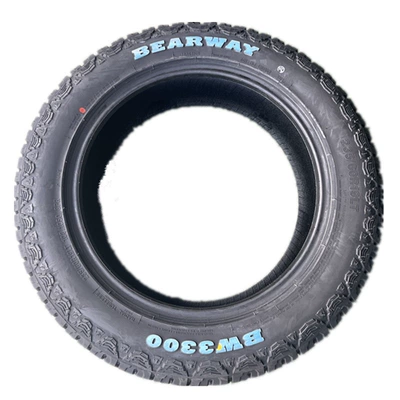 60R18 19 All-Terrain, Yolsuzluq şinləri