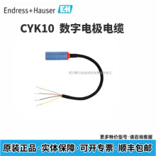 E+H����˹��˹  ����늘O��|CYK10-A101�F؛